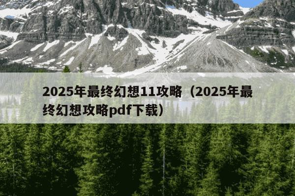2025年最终幻想11攻略(2025年最终幻想攻略pdf下载)