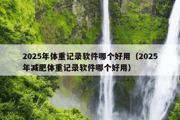 2025年体重记录软件哪个好用（2025年减肥体重记录软件哪个好用）