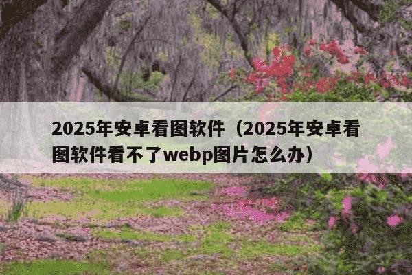 2025年安卓看图软件（2025年安卓看图软件看不了webp图片怎么办）