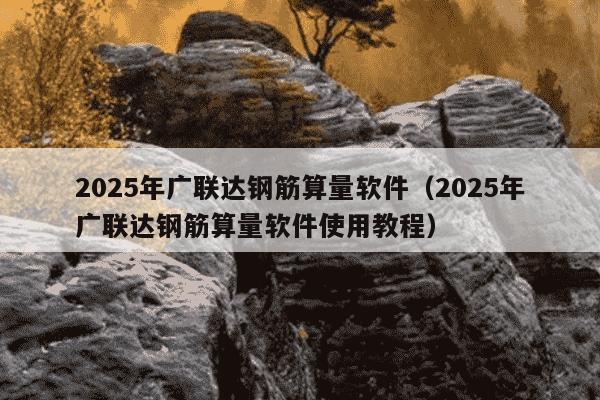 2025年广联达钢筋算量软件（2025年广联达钢筋算量软件使用教程）