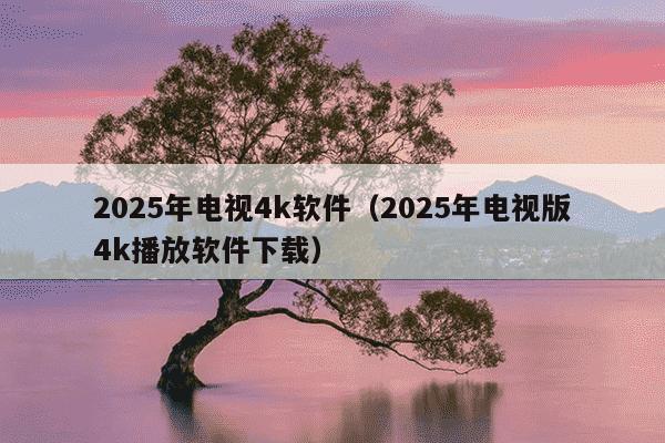2025年电视4k软件(2025年电视版4k播放软件下载)