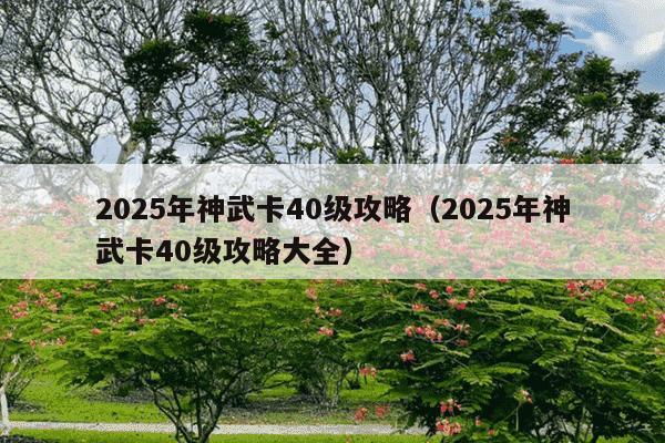 2025年神武卡40级攻略(2025年神武卡40级攻略大全)
