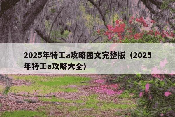 2025年特工a攻略图文完整版(2025年特工a攻略大全)