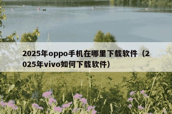 2025年oppo手机在哪里下载软件（2025年vivo如何下载软件）