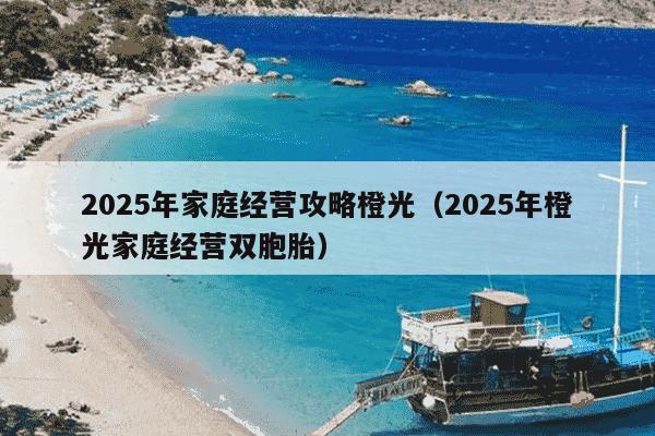 2025年家庭经营攻略橙光（2025年橙光家庭经营双胞胎）