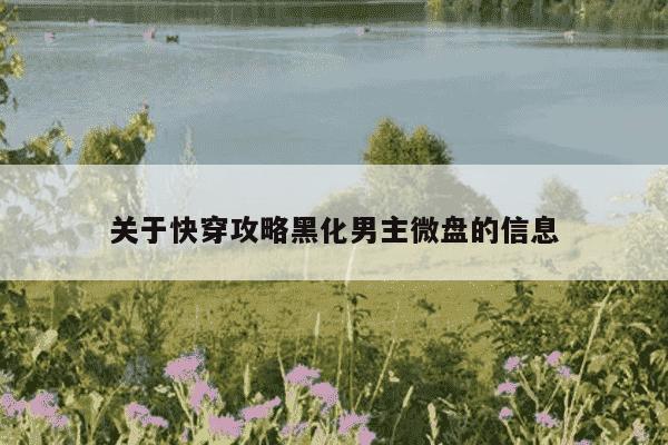 关于快穿攻略黑化男主微盘的信息