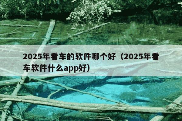 2025年看车的软件哪个好(2025年看车软件什么app好)
