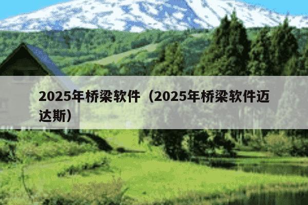 2025年桥梁软件(2025年桥梁软件迈达斯)