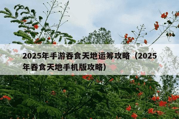 2025年手游吞食天地运筹攻略(2025年吞食天地手机版攻略)
