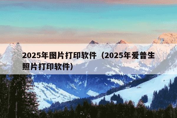 2025年图片打印软件（2025年爱普生照片打印软件）