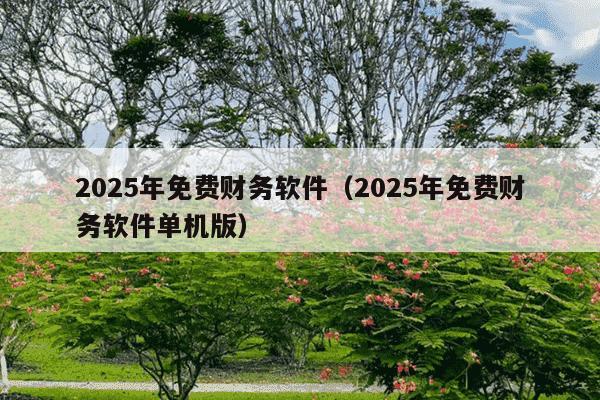2025年免费财务软件（2025年免费财务软件单机版）