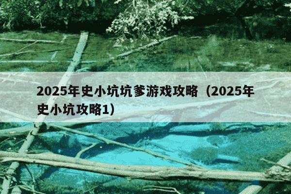 2025年史小坑坑爹游戏攻略（2025年史小坑攻略1）