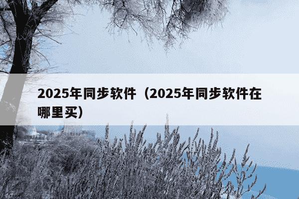 2025年同步软件（2025年同步软件在哪里买）