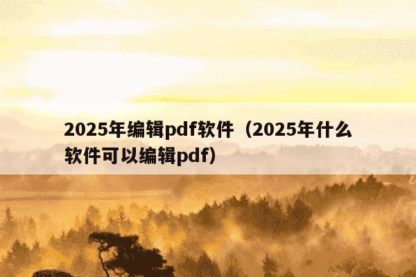2025年编辑pdf软件（2025年什么软件可以编辑pdf）