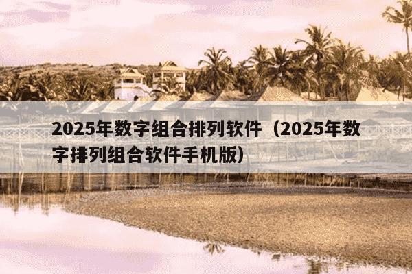 2025年数字组合排列软件（2025年数字排列组合软件手机版）