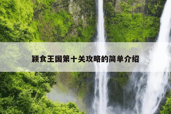 颖食王国第十关攻略的简单介绍