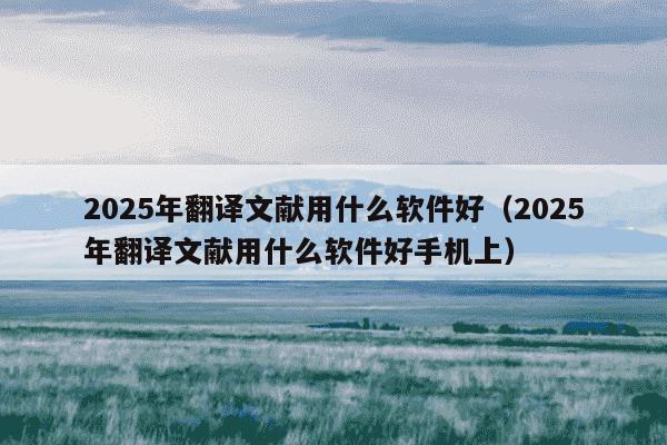 2025年翻译文献用什么软件好（2025年翻译文献用什么软件好手机上）