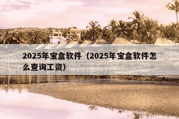 2025年宝盒软件（2025年宝盒软件怎么查询工资）