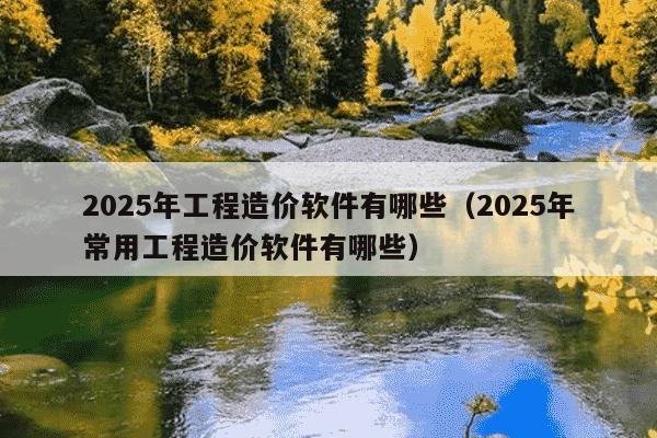 2025年工程造价软件有哪些（2025年常用工程造价软件有哪些）