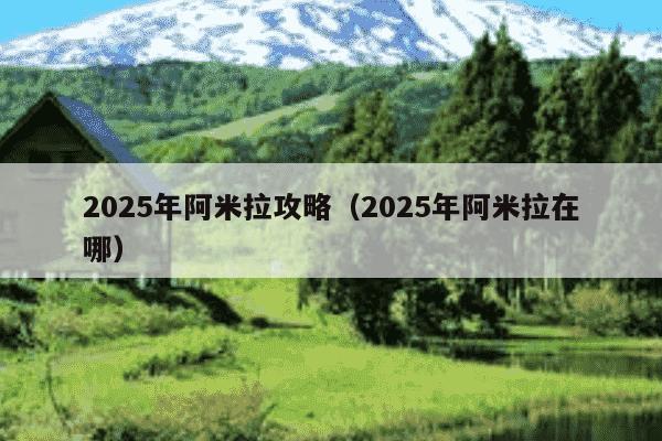 2025年阿米拉攻略(2025年阿米拉在哪)