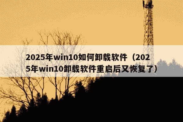 2025年win10如何卸载软件(2025年win10卸载软件重启后又恢复了)