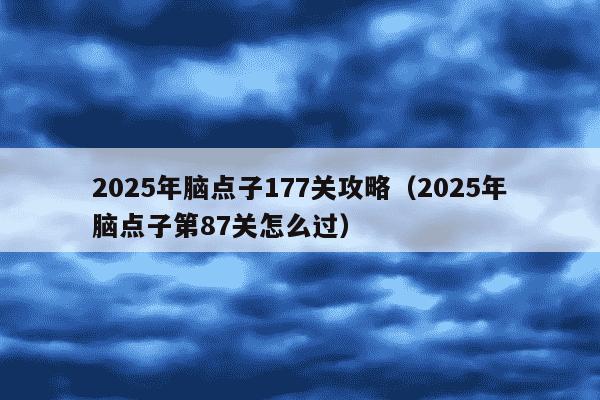 2025年脑点子177关攻略(2025年脑点子第87关怎么过)