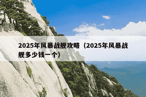 2025年风暴战舰攻略(2025年风暴战舰多少钱一个)