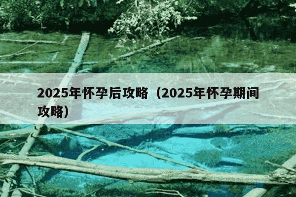 2025年怀孕后攻略(2025年怀孕期间攻略)