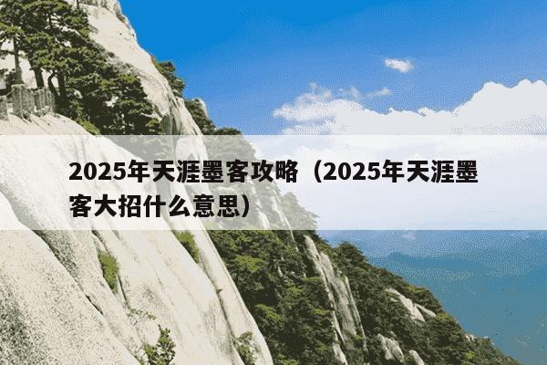 2025年天涯墨客攻略(2025年天涯墨客大招什么意思)