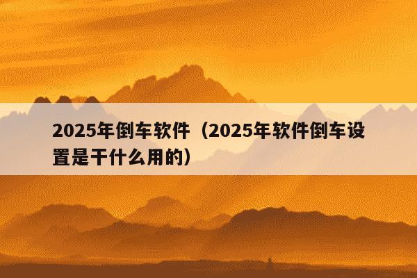 2025年倒车软件(2025年软件倒车设置是干什么用的)