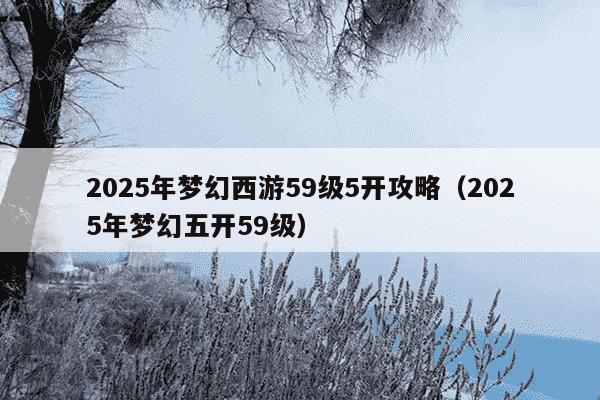 2025年梦幻西游59级5开攻略（2025年梦幻五开59级）