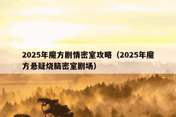 2025年魔方剧情密室攻略(2025年魔方悬疑烧脑密室剧场)