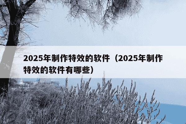 2025年制作特效的软件(2025年制作特效的软件有哪些)