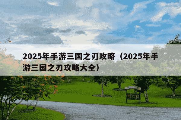 2025年手游三国之刃攻略(2025年手游三国之刃攻略大全)