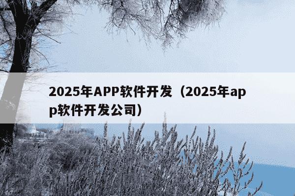 2025年APP软件开发(2025年app软件开发公司)