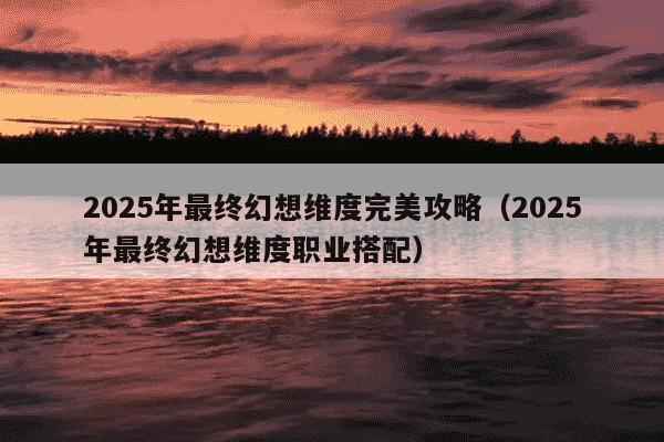 2025年最终幻想维度完美攻略(2025年最终幻想维度职业搭配)