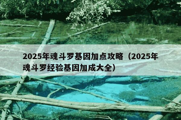 2025年魂斗罗基因加点攻略(2025年魂斗罗经验基因加成大全)