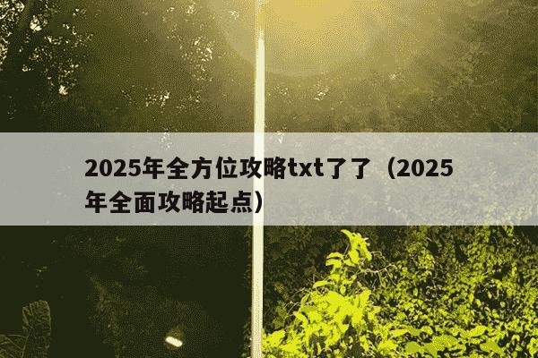 2025年全方位攻略txt了了（2025年全面攻略起点）
