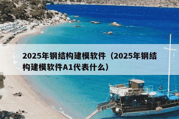 2025年钢结构建模软件（2025年钢结构建模软件A1代表什么）