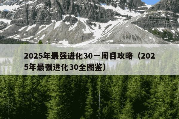 2025年最强进化30一周目攻略（2025年最强进化30全图鉴）