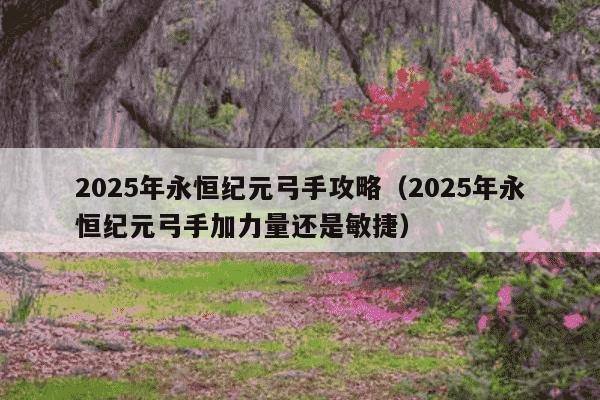 2025年永恒纪元弓手攻略(2025年永恒纪元弓手加力量还是敏捷)