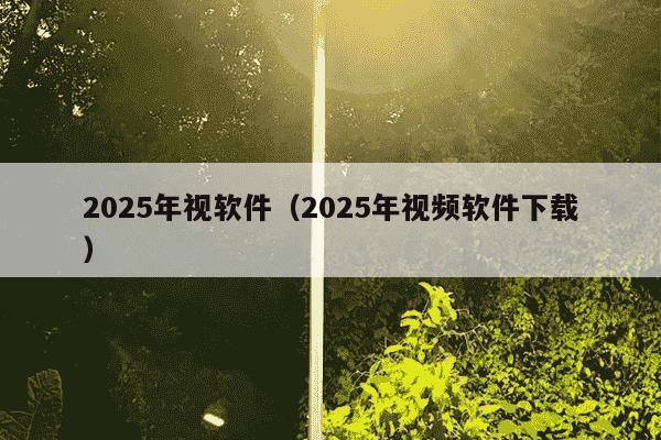 2025年视软件（2025年视频软件下载）
