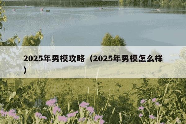 2025年男模攻略（2025年男模怎么样）