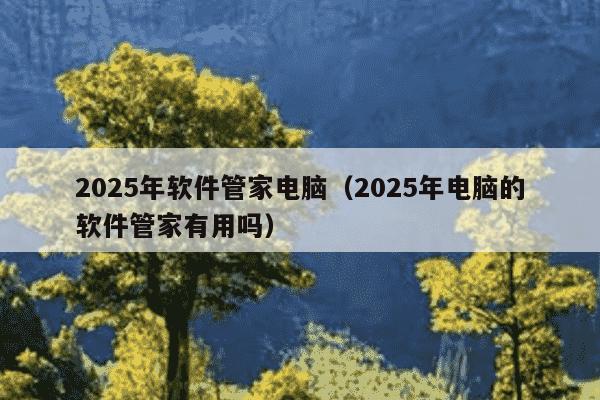 2025年软件管家电脑(2025年电脑的软件管家有用吗)