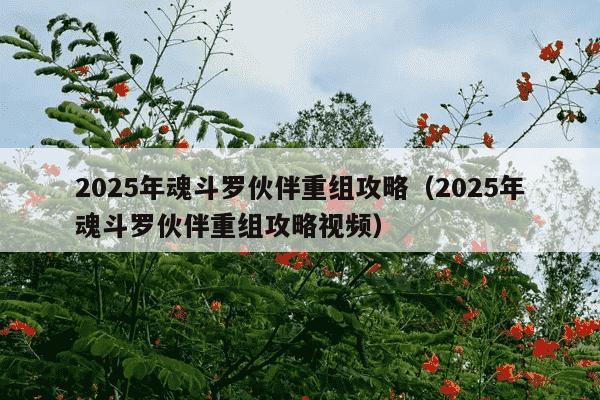 2025年魂斗罗伙伴重组攻略(2025年魂斗罗伙伴重组攻略视频)