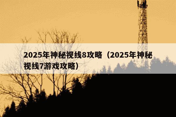 2025年神秘视线8攻略(2025年神秘视线7游戏攻略)