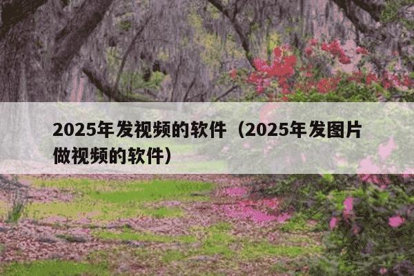 2025年发视频的软件（2025年发图片做视频的软件）