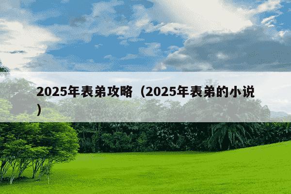 2025年表弟攻略(2025年表弟的小说)