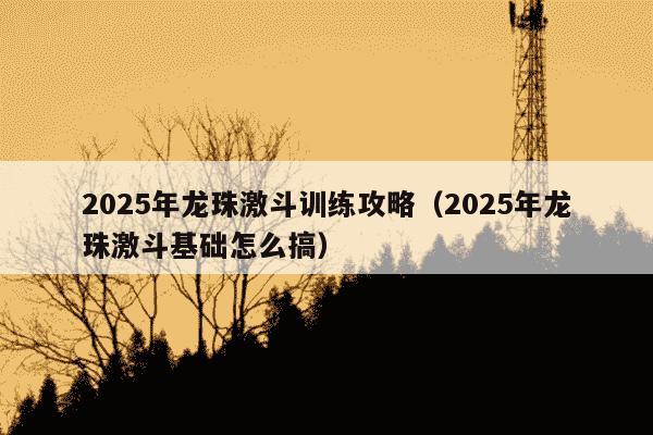 2025年龙珠激斗训练攻略(2025年龙珠激斗基础怎么搞)