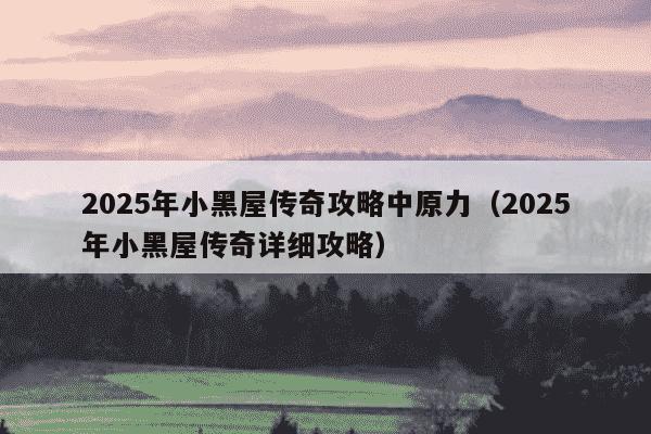 2025年小黑屋传奇攻略中原力(2025年小黑屋传奇详细攻略)